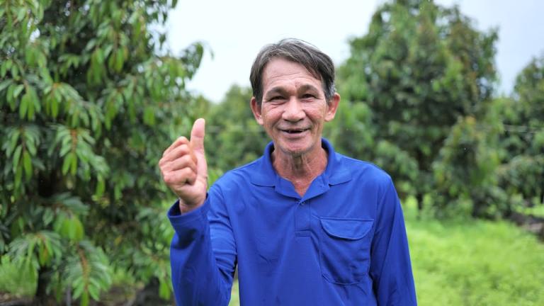 Incipio Xanh cho hiệu quả kéo dài trên 10 ngày, an toàn cho cây Sầu riêng