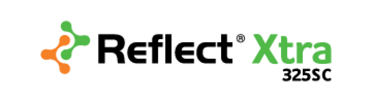 reflectxtra_bannerlogo