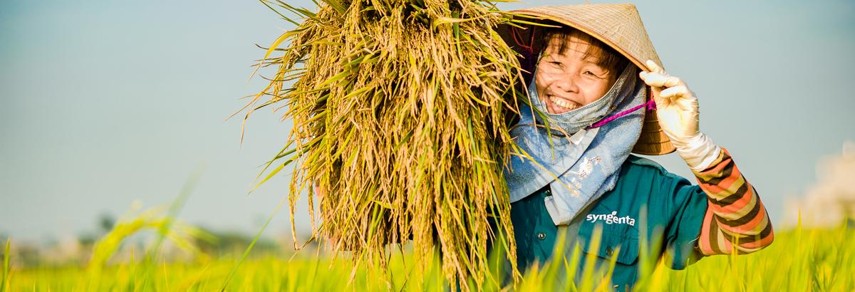 Chương trình Phát triển Bền vững