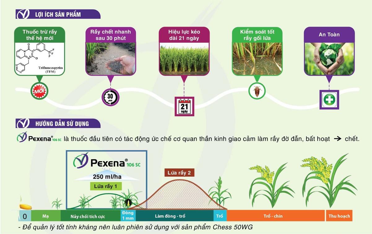 Giải pháp trừ rầy thế hệ mới Pexena 106SC