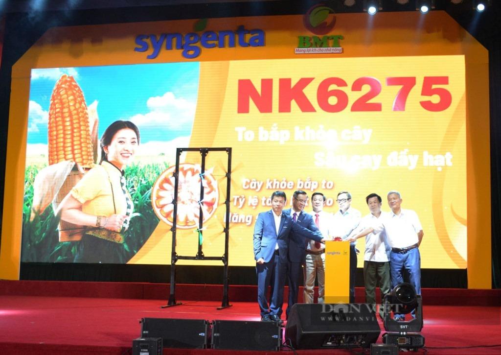 NK6275