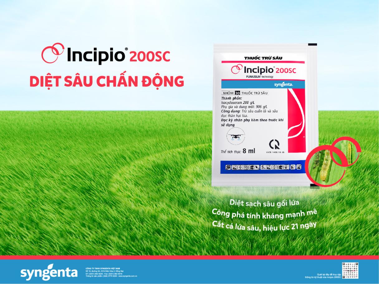 incipio