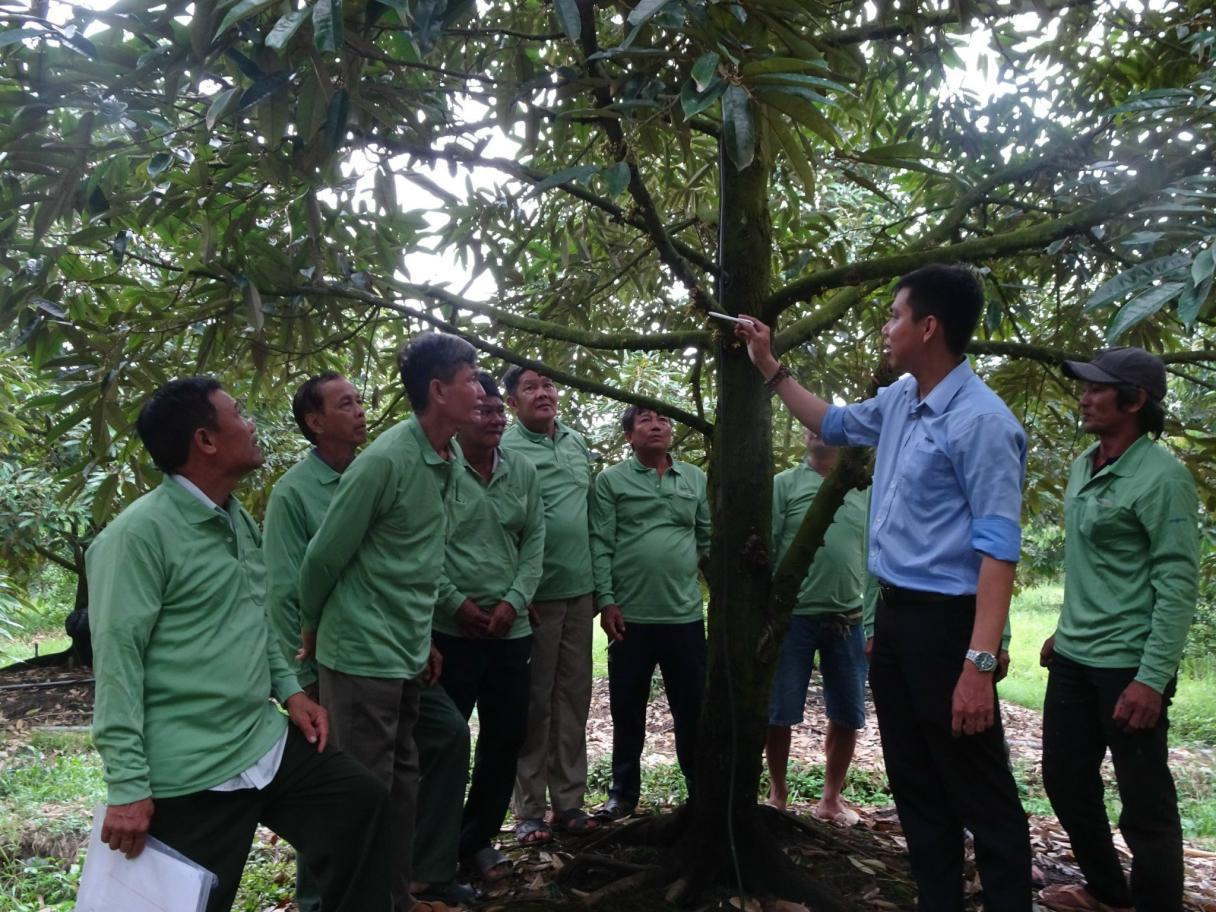TỔNG KẾT CHƯƠNG TRÌNH "KẾT NỐI VỮNG BỀN"