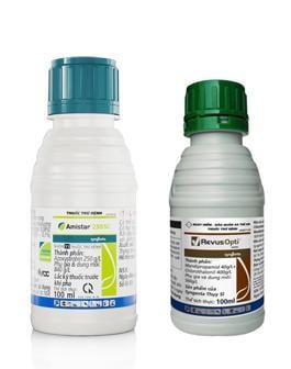 maxveg_banner11