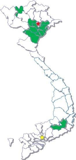 caukhoaitay_banner1