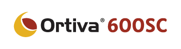 ortiva_bannerlogo