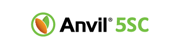 anvil_bannerlogo