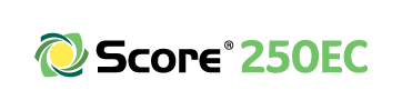 score_bannerlogo