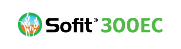 sofit_bannerlogo