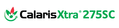 calarisxtra_bannerlogo