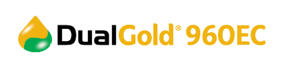 dualgold_bannerlogo
