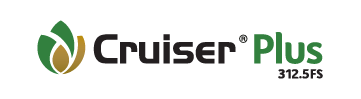 cruiserplus_bannerlogo