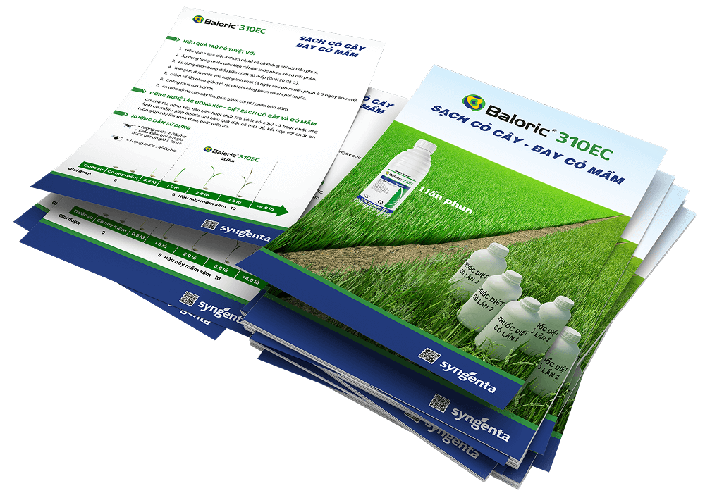 baloric-brochure-img.png
