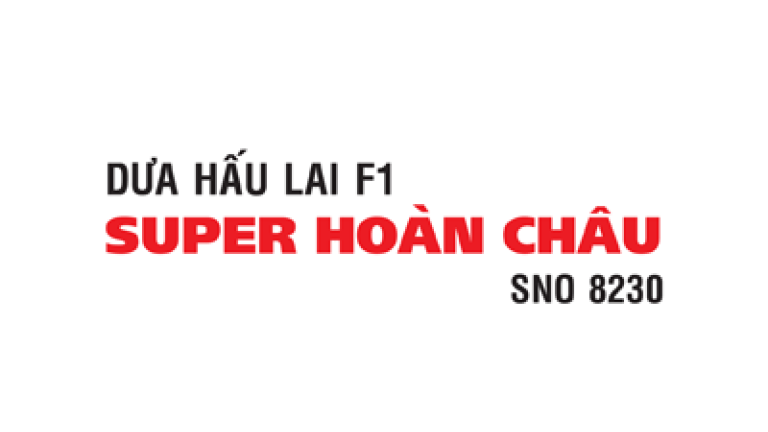 SUPER HOÀN CHÂU