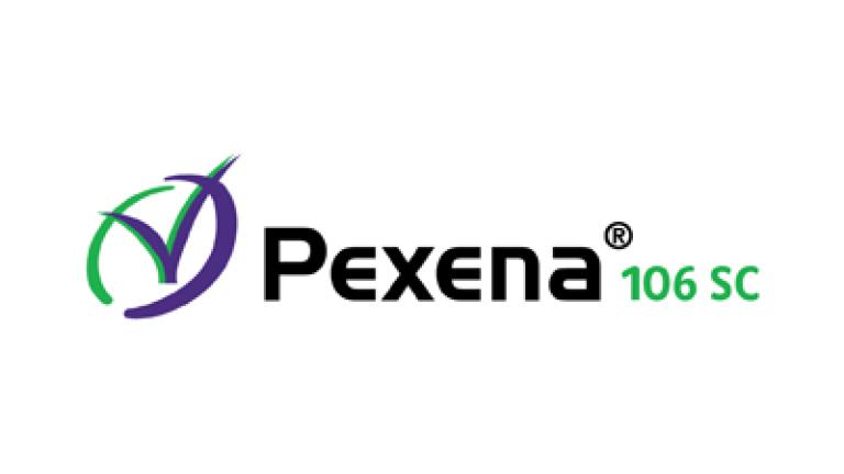 Pexena