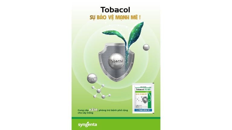 Tobacol