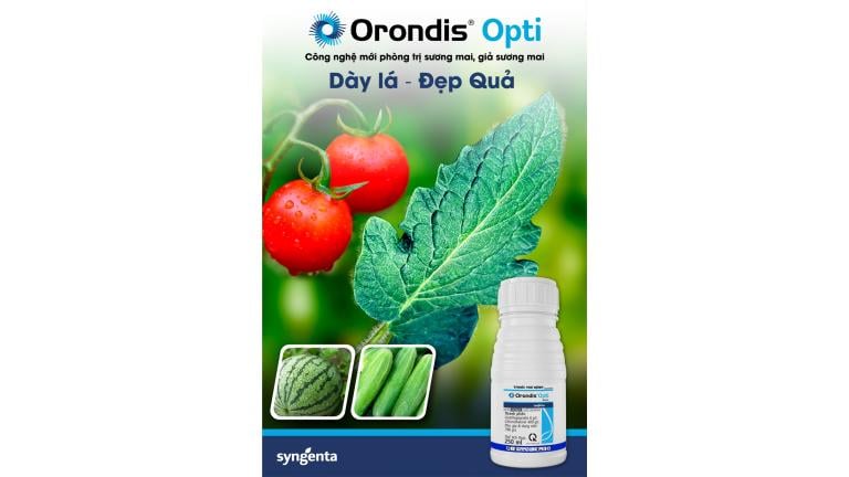 Orondis Opti