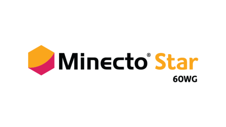 Logo Minecto Star